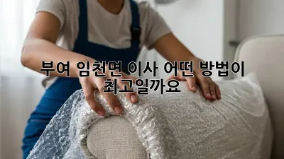 부여 임천면 이사, 어떤 방법이 최고일까요?